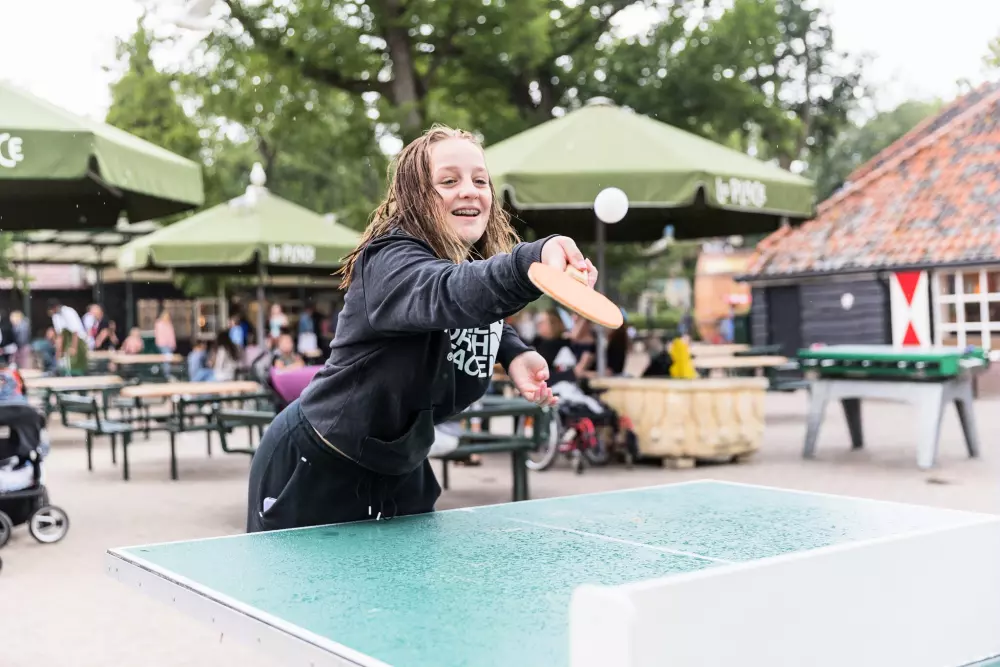 Camping Duinrell Park4 étoiles★★★★