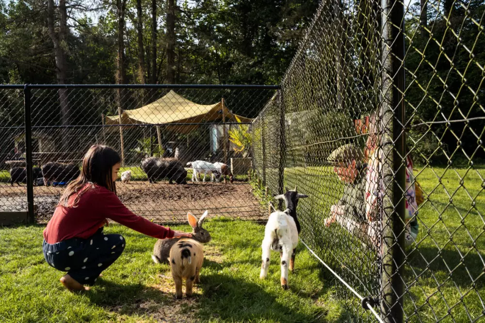 Camping Siesta (Vodatent)