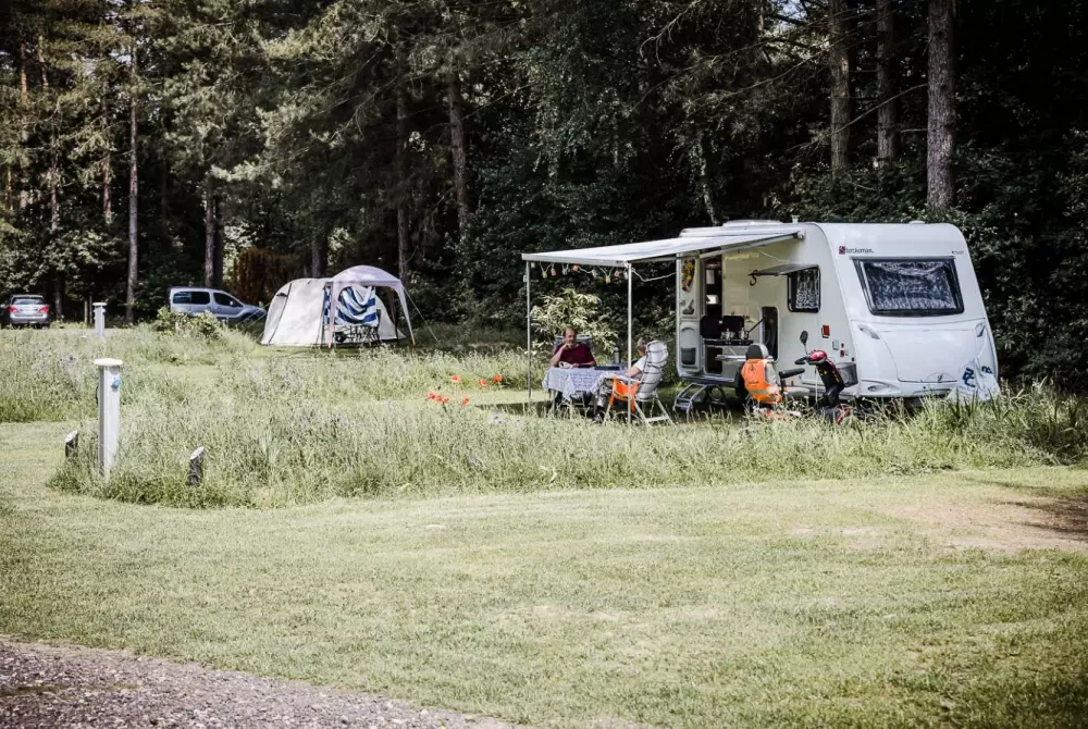 Camping Siesta  3 étoiles★★★