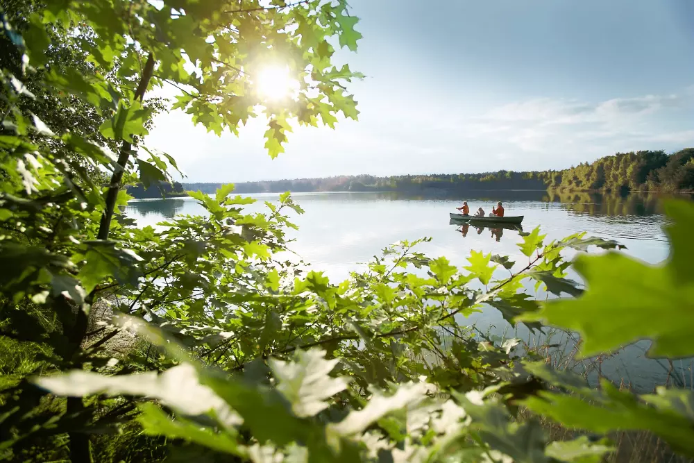 Domaine De Kempervennen Center Parcs