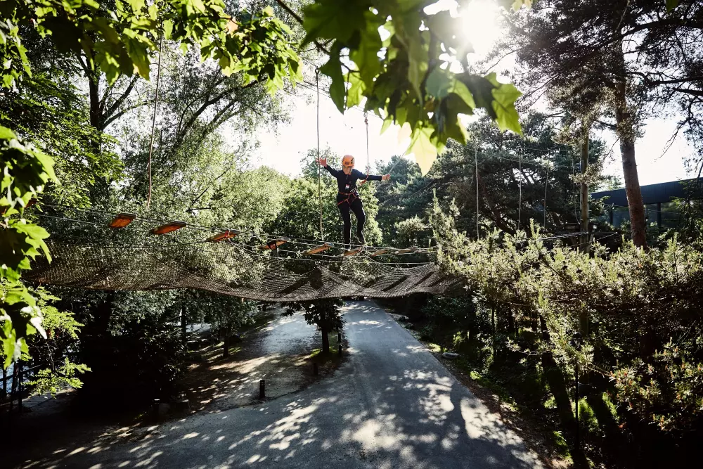 Domaine De Kempervennen Center Parcs