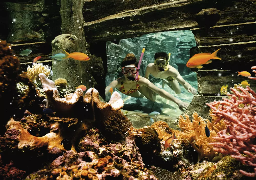 Domaine De Kempervennen Center Parcs