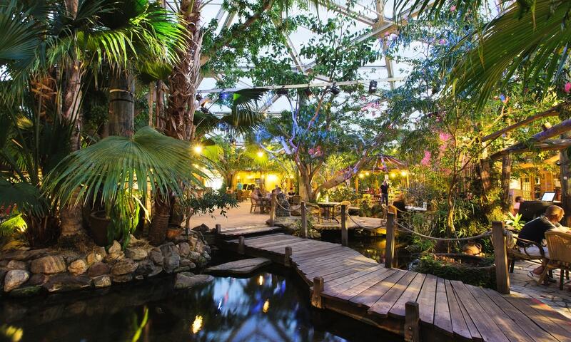 Domaine De Kempervennen Center Parcs - 8