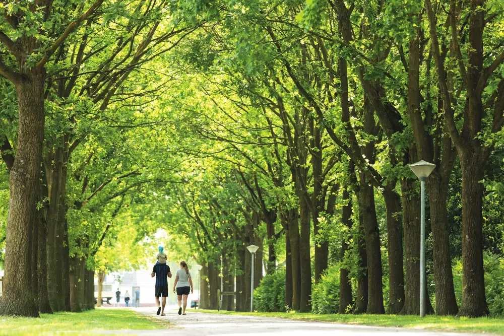 Camping De Twee Bruggen