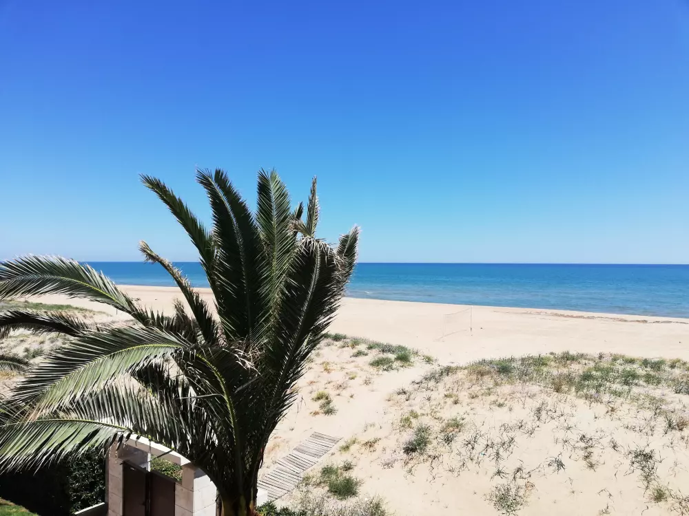 Location de Vacances Xeraco 106