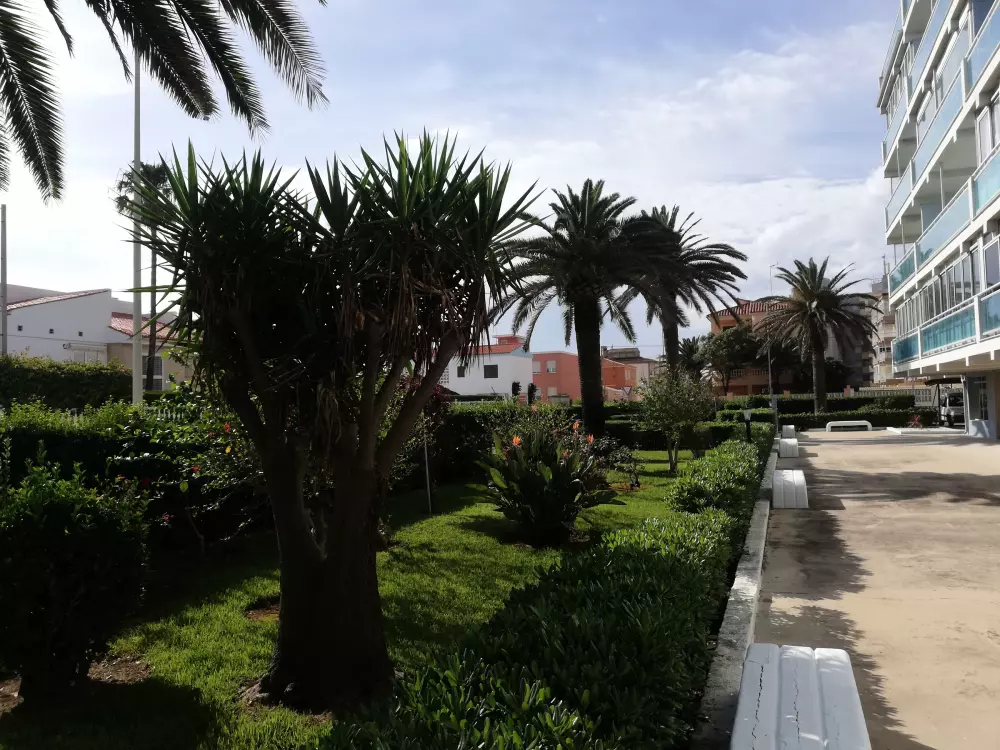 Location de Vacances Xeraco 40