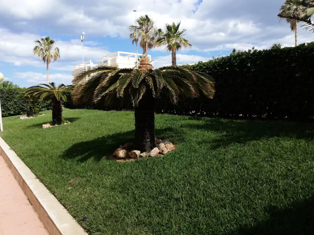 Location de Vacances Xeraco 54