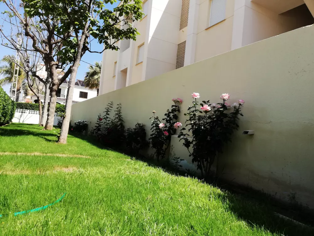 Location de Vacances Xeraco 7