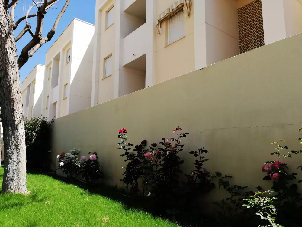 Location de Vacances Xeraco 7