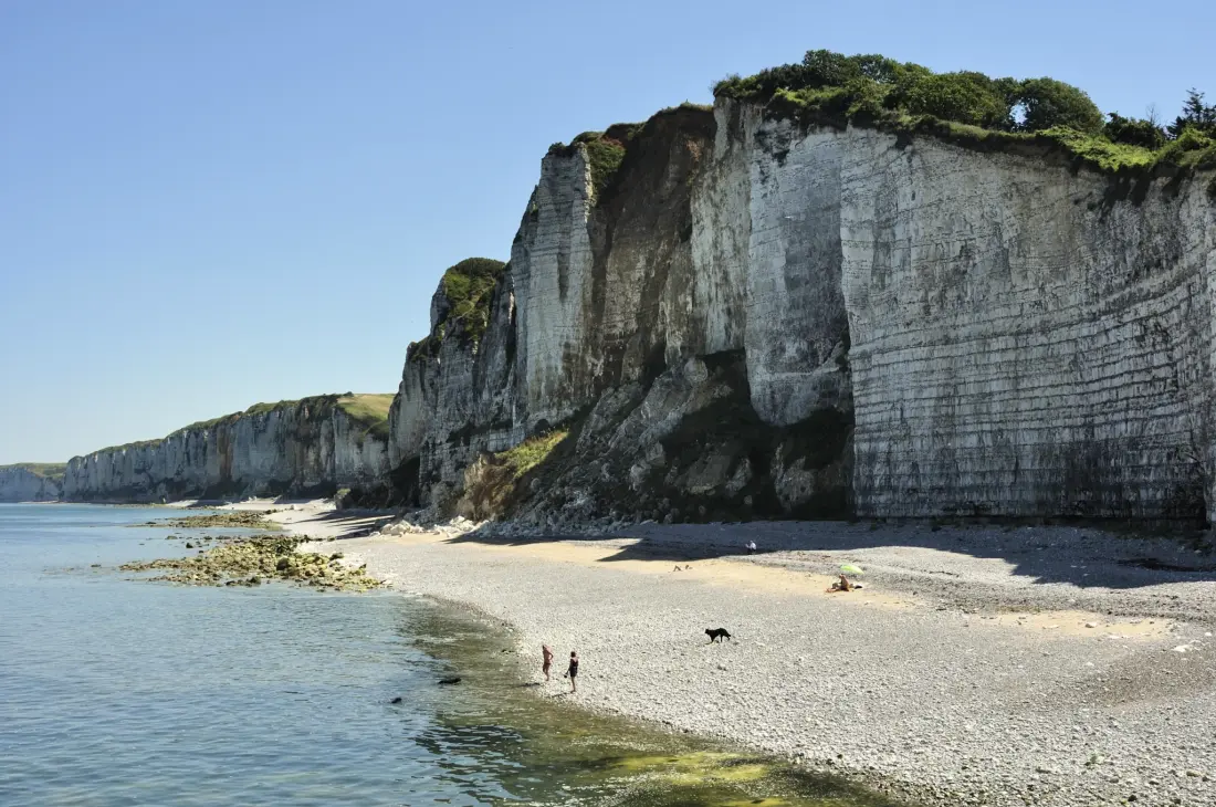 Flower Camping La Chênaie 3 étoiles★★★