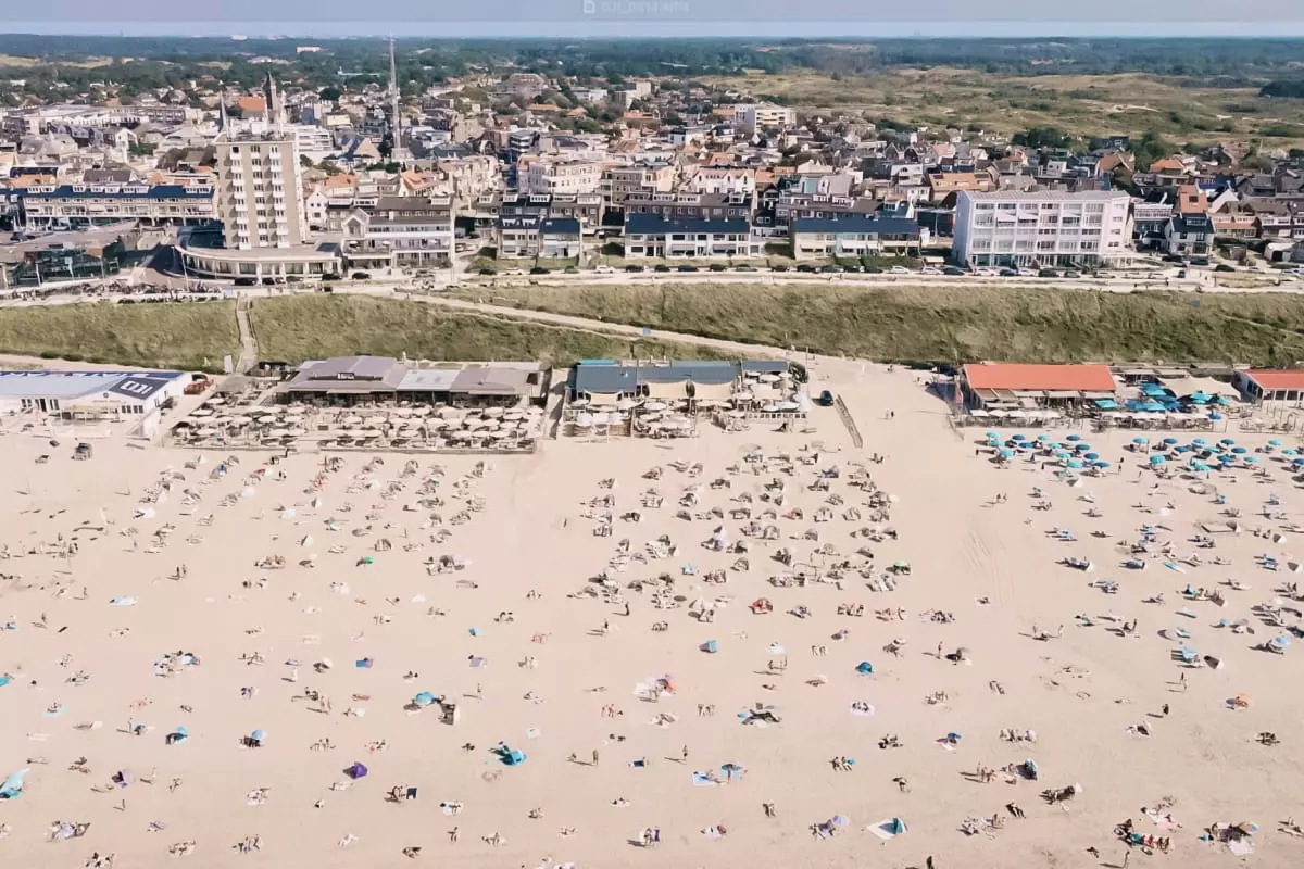 Bamboa Studio - - Zandvoort - 31