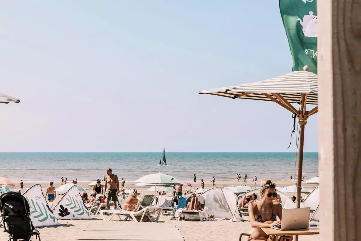 Bamboa Studio - - Zandvoort - 30