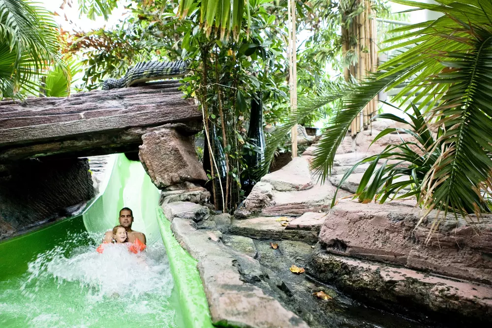 Domaine Park Zandvoort Center Parcs