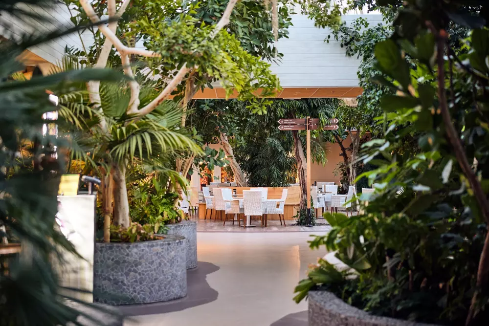 Domaine Park Zandvoort Center Parcs