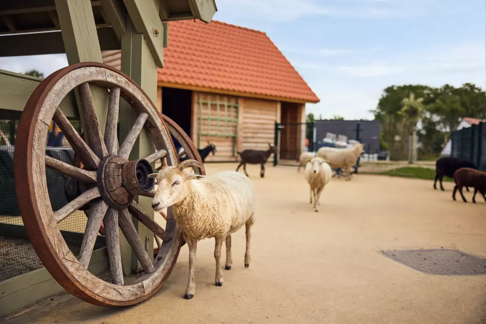 Domaine Park Zandvoort Center Parcs