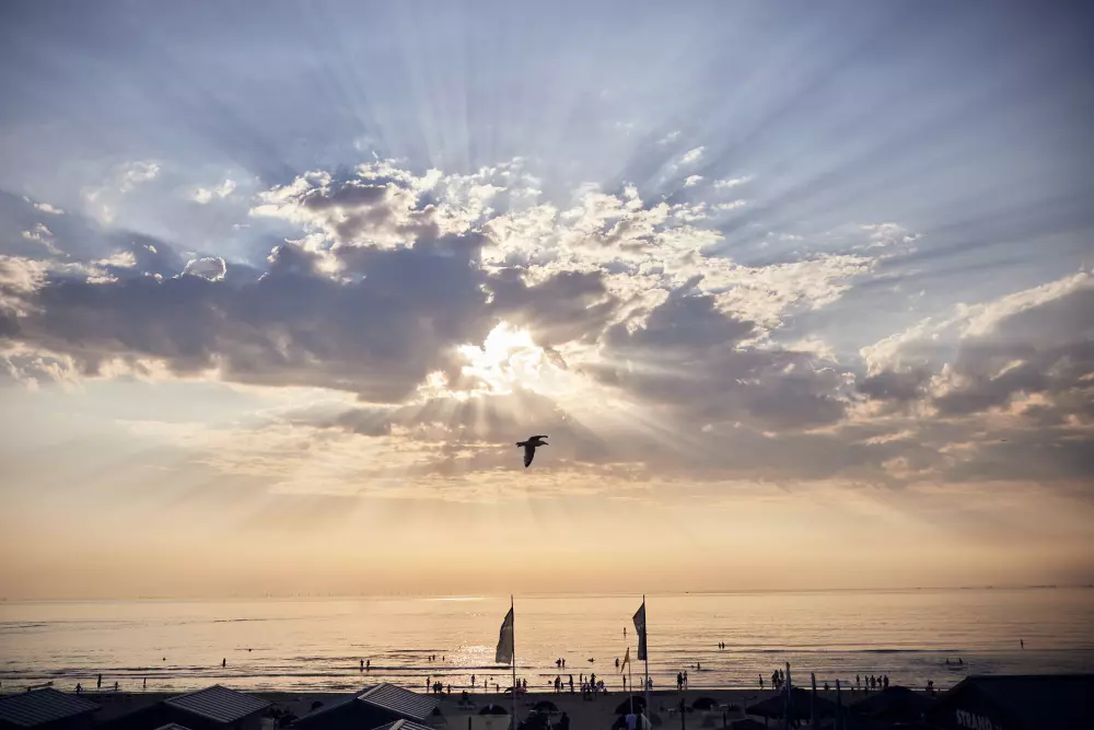 Domaine Park Zandvoort Center Parcs