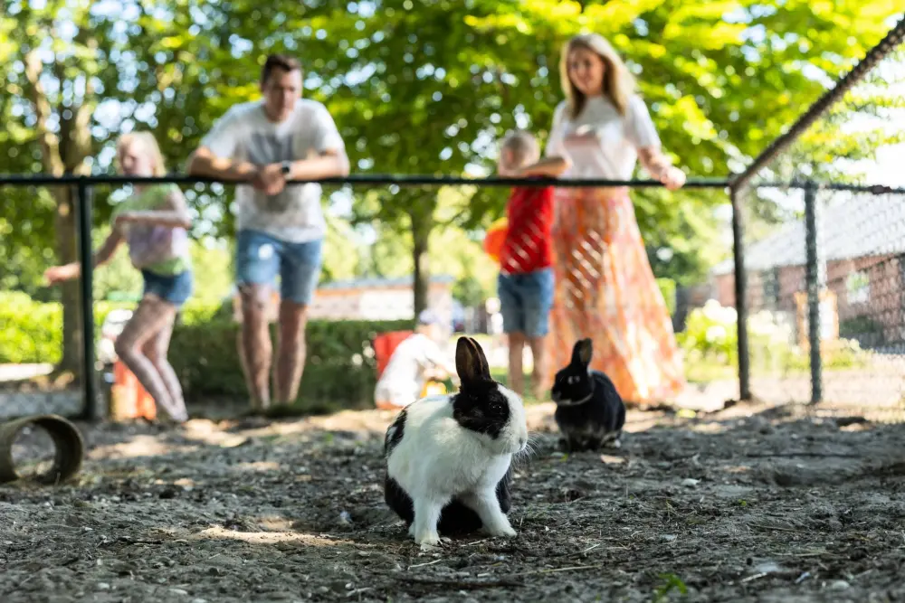 RCN Vakantiepark Zeewolde 4 étoiles★★★★