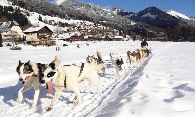 AlpChalets Portes du Soleil ***** - Abondance - SKI - 22