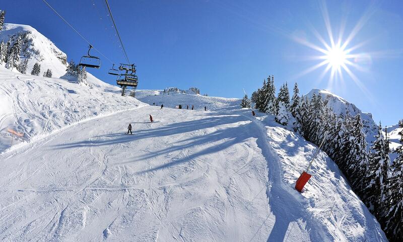 AlpChalets Portes du Soleil ***** - Abondance - SKI - 44