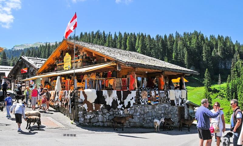 AlpChalets Portes du Soleil ***** - Abondance - SKI - 35