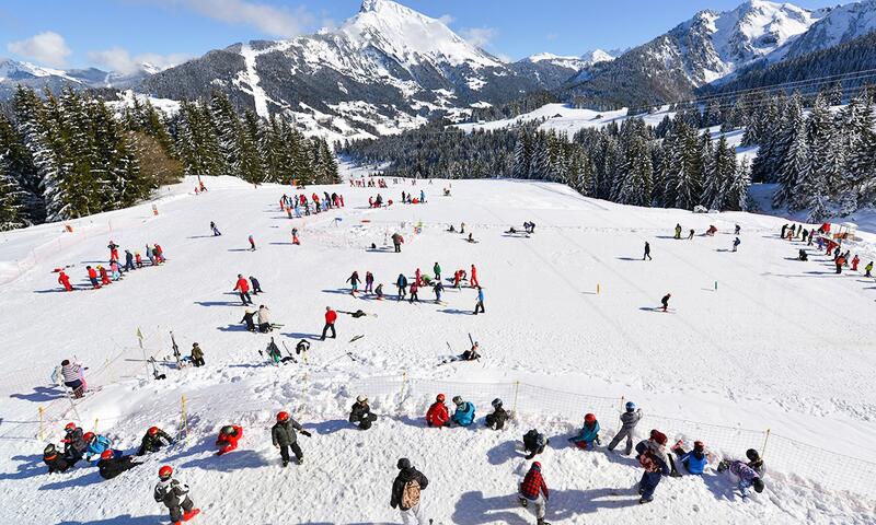 AlpChalets Portes du Soleil ***** - Abondance - SKI - 45