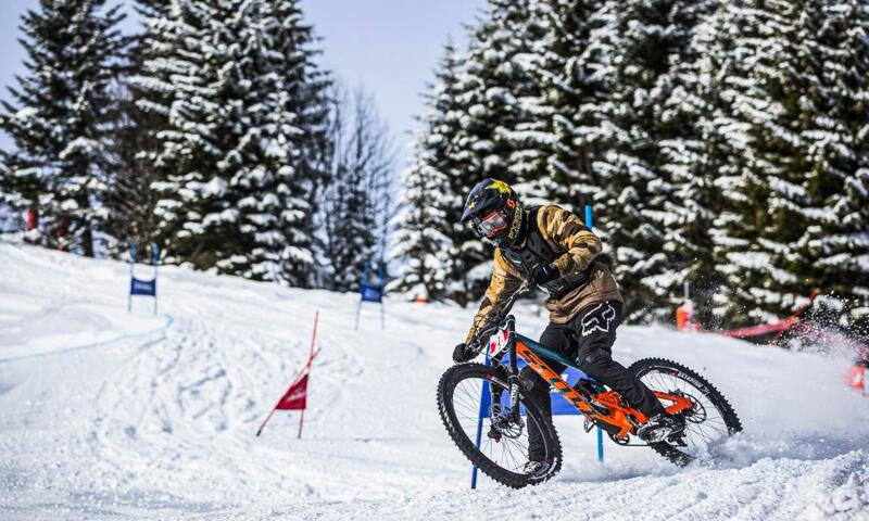 AlpChalets Portes du Soleil ***** - Abondance - SKI - 38