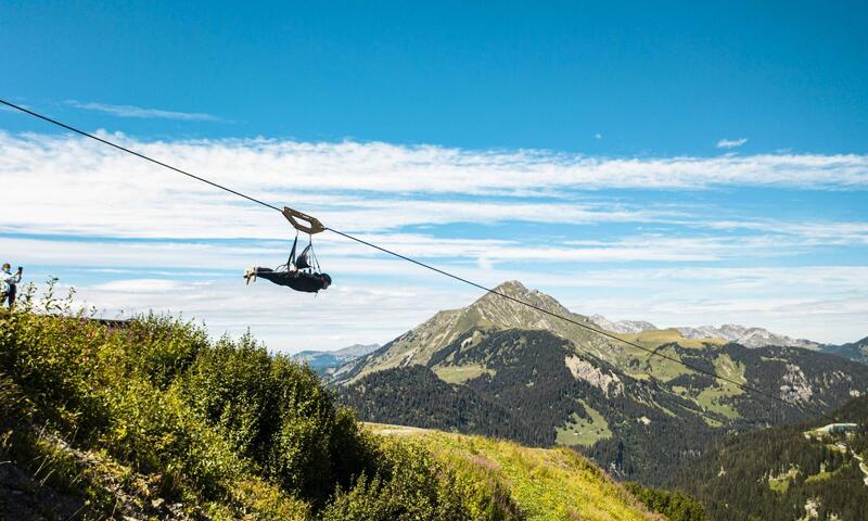 AlpChalets Portes du Soleil ***** - Abondance - SKI - 19