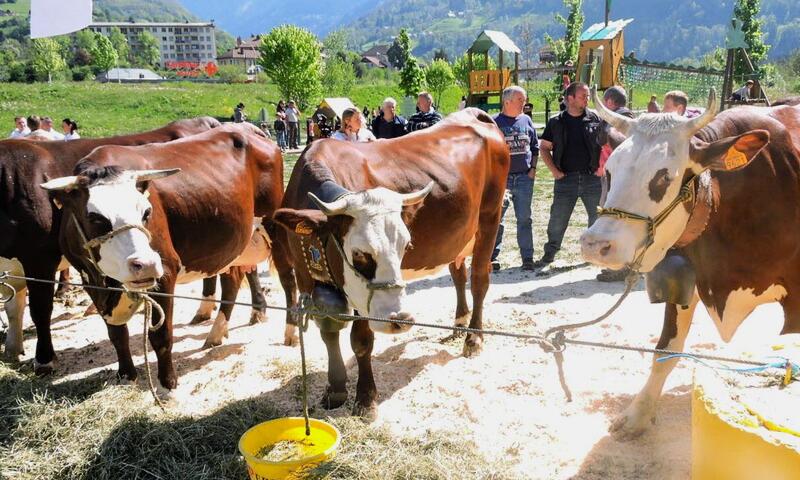 AlpChalets Portes du Soleil ***** - Abondance - SKI - 32