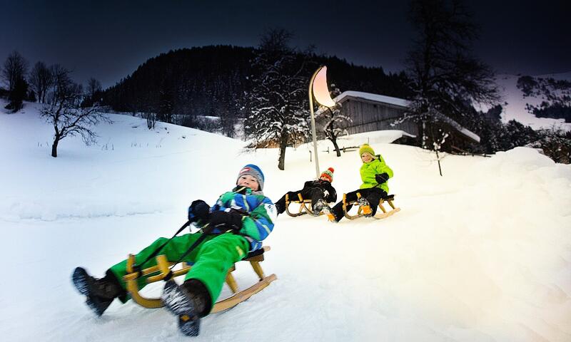 AlpChalets Portes du Soleil ***** - Abondance - SKI - 39