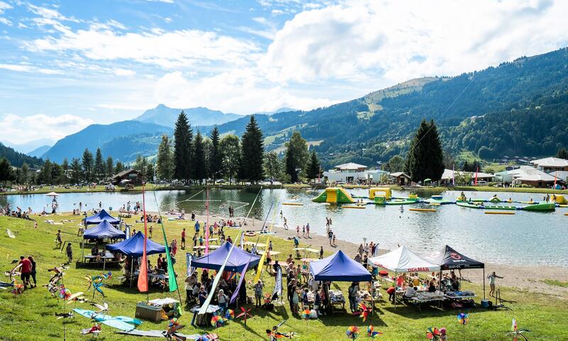 AlpChalets Portes du Soleil ***** - Abondance - SKI - 17