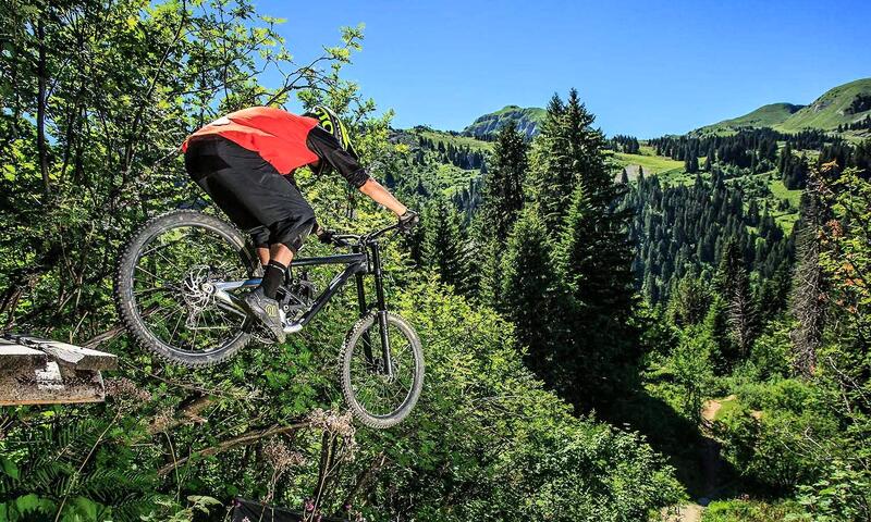 AlpChalets Portes du Soleil ***** - Abondance - SKI - 28