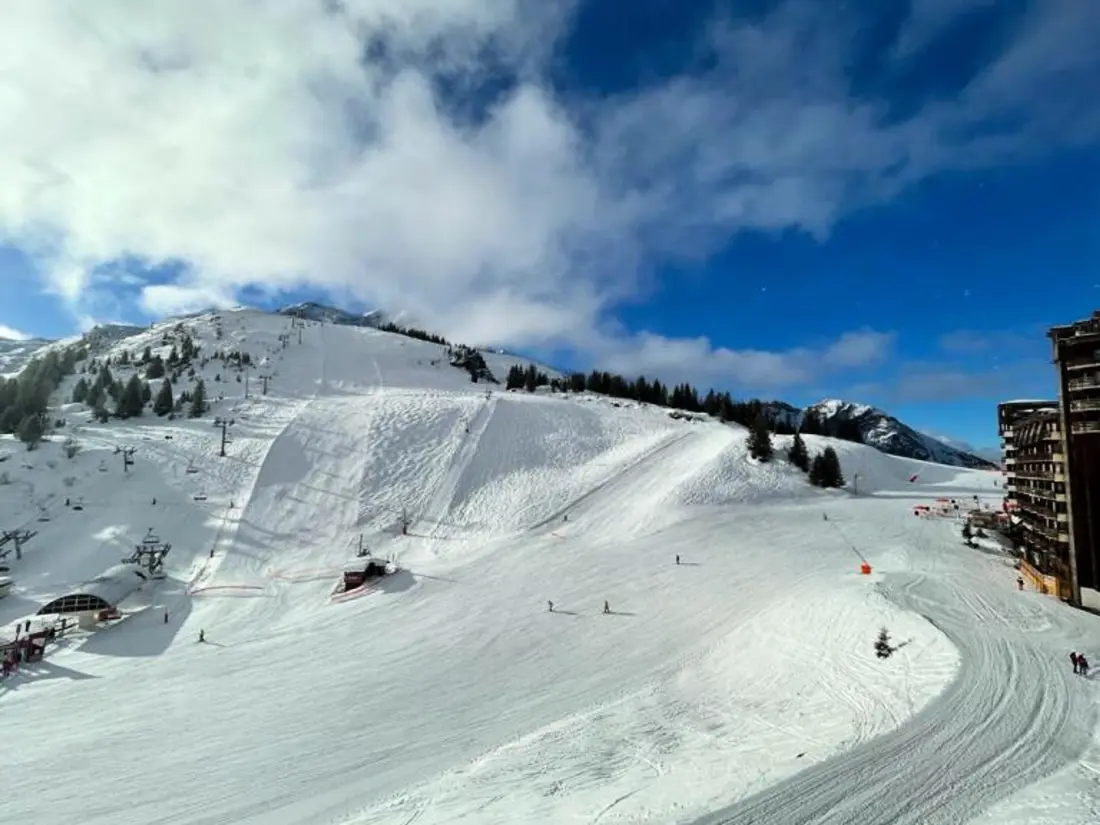 Location de Vacances Avoriaz 141