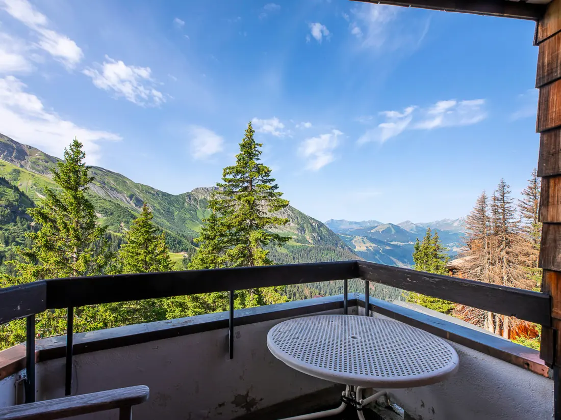 Location de Vacances Avoriaz 349