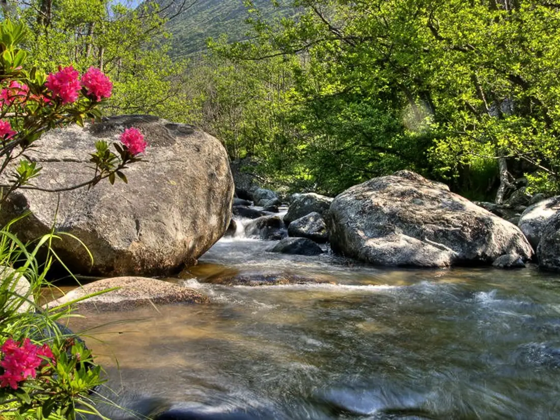 Location de Vacances Bolquère-Pyrénées 2000 36