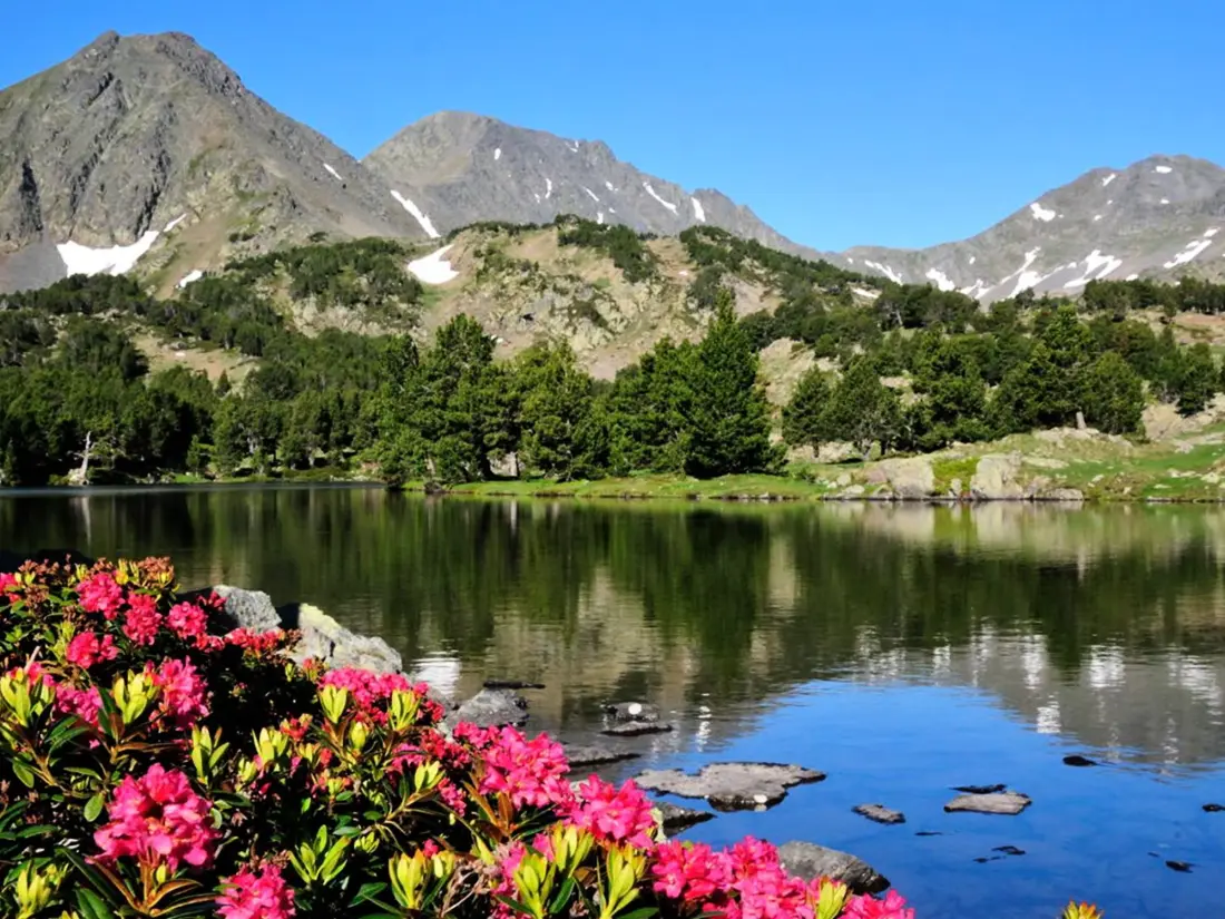 Location de Vacances Bolquère-Pyrénées 2000 52