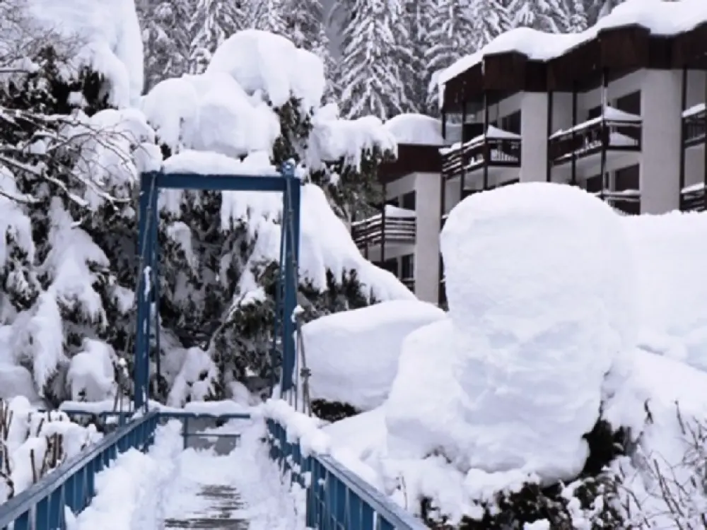 Résidence Les Grands Montets