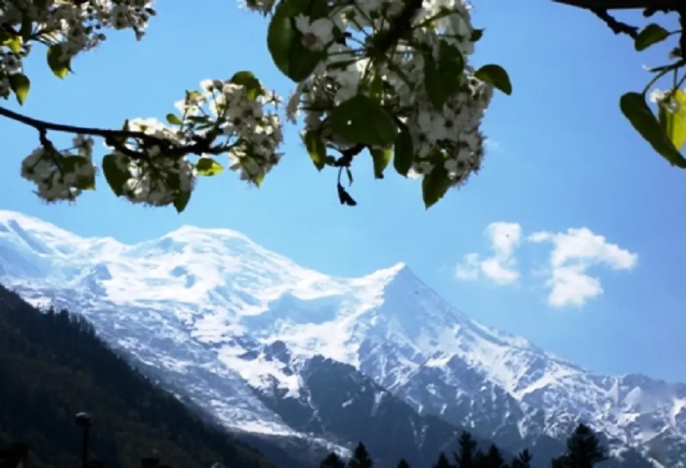 Résidence Les Grands Montets