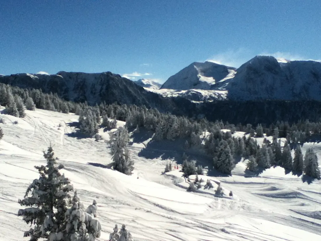 Location de Vacances Chamrousse 131