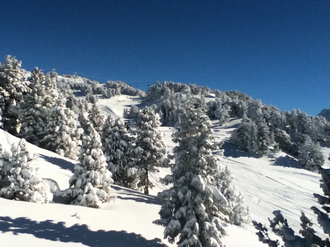 Location de Vacances Chamrousse 264