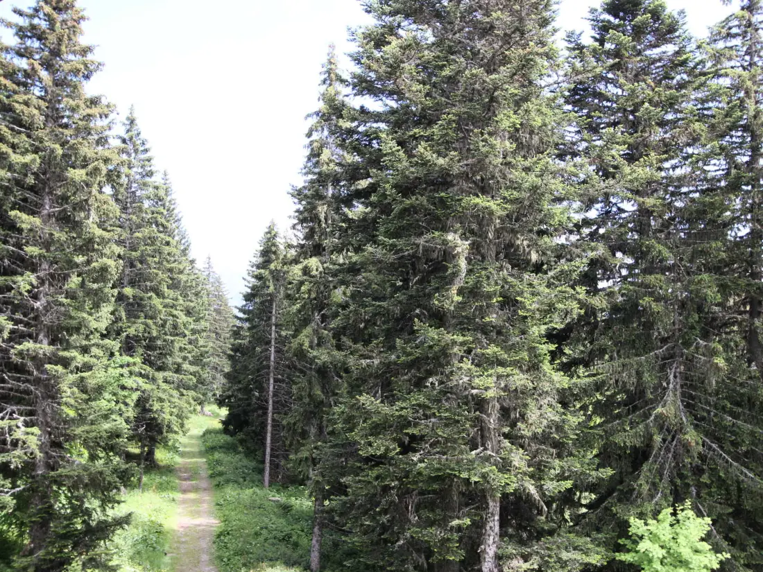 Location de Vacances Chamrousse 282