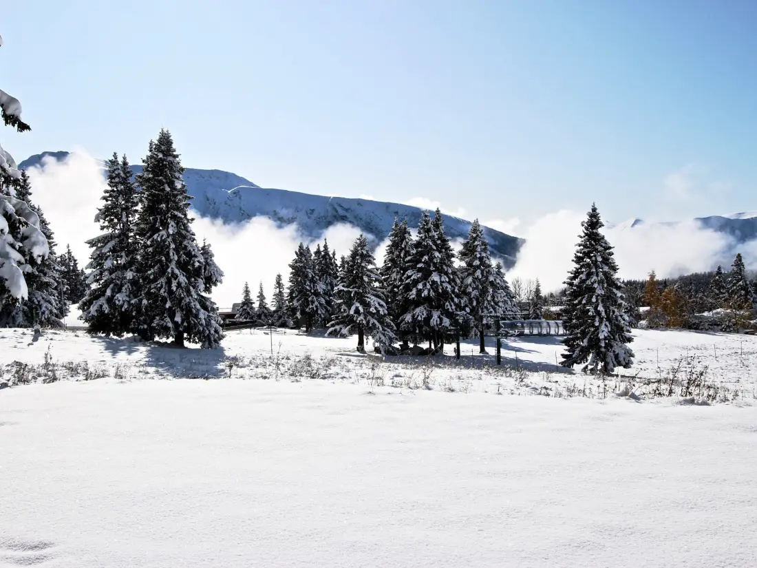 Location de Vacances Chamrousse 302