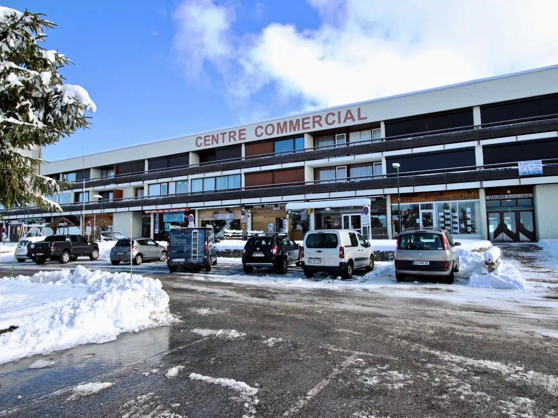Location de Vacances Chamrousse 4
