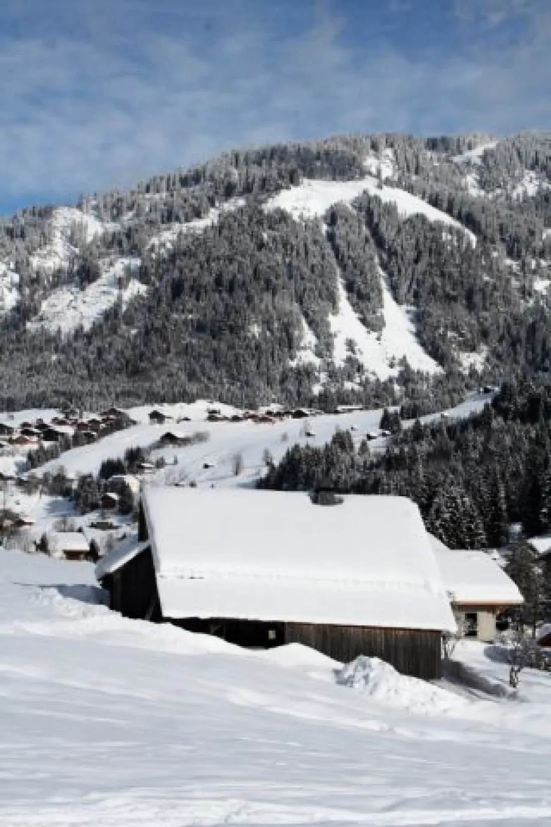 Chalet Beauboo
