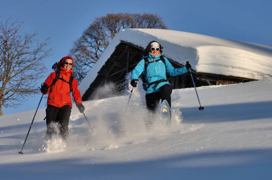 Chalet Le Buset