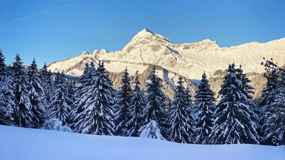 Chalet Le Valentin