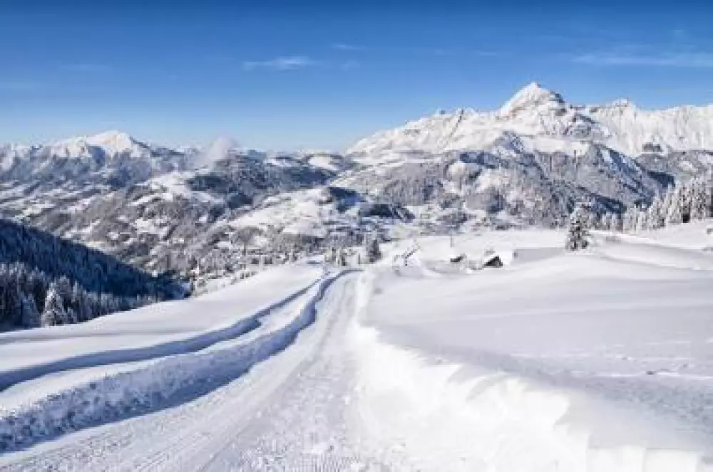 Chalet Le Valentin