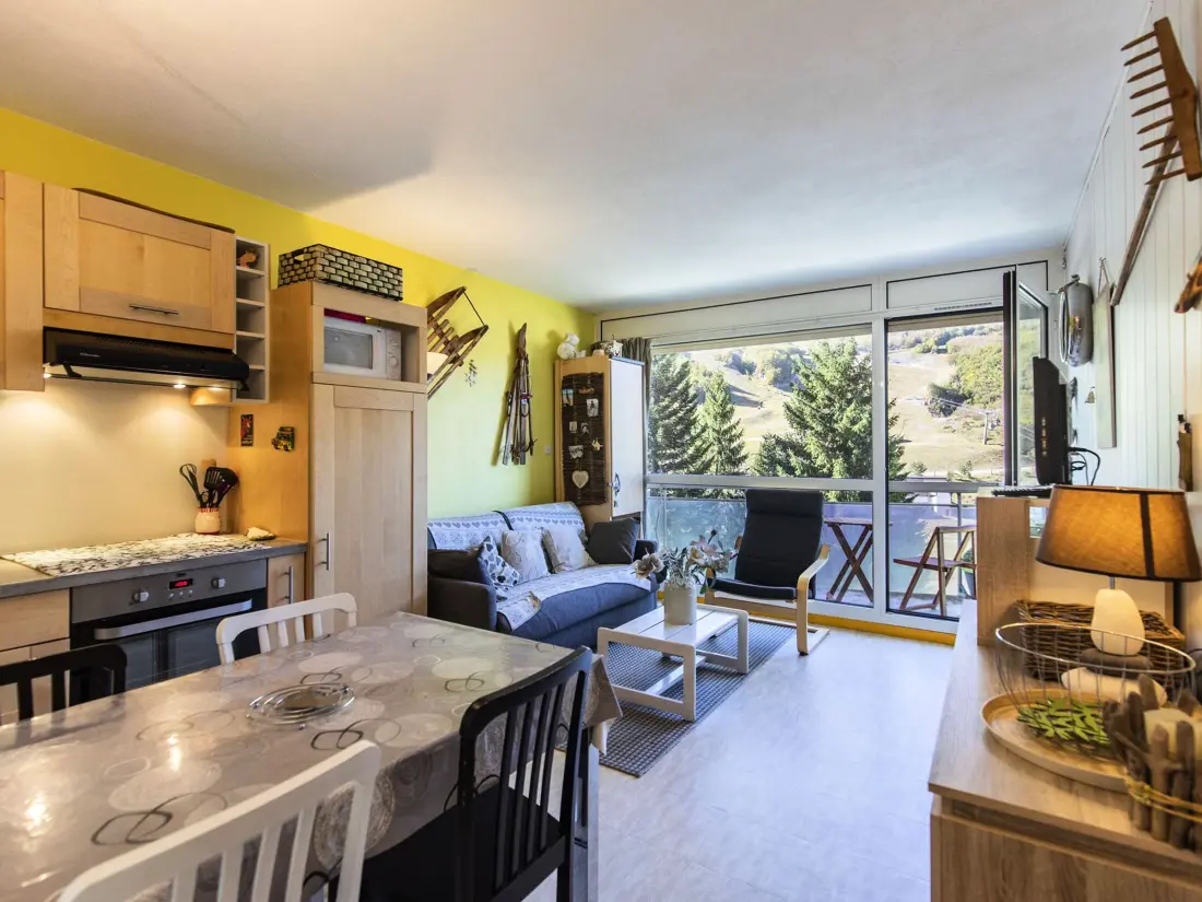 Location de Vacances Gourette 180