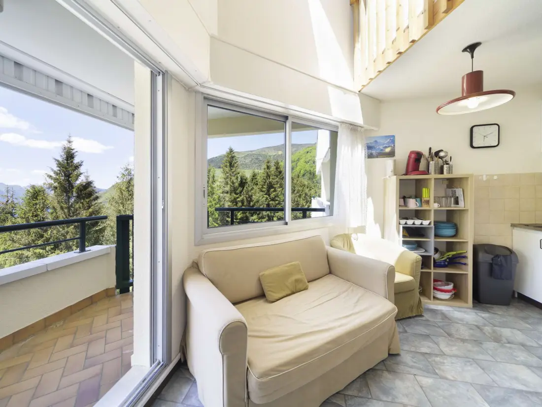 Location de Vacances Gourette 182