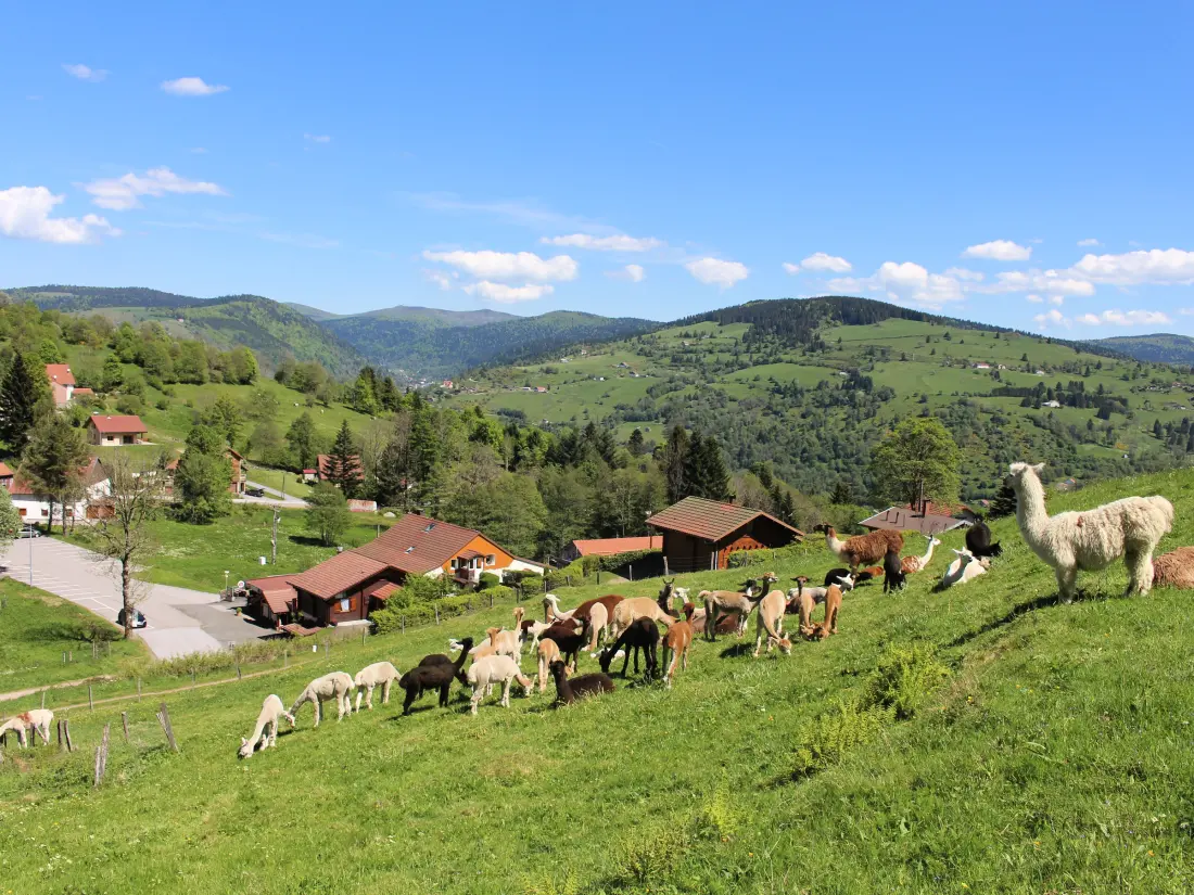 Maison de Vacances La Bresse 24