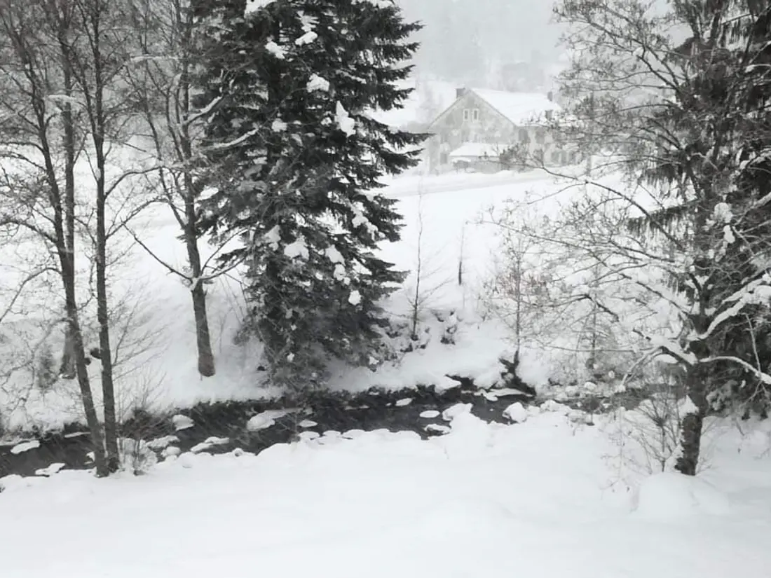 Maison de Vacances La Bresse 4